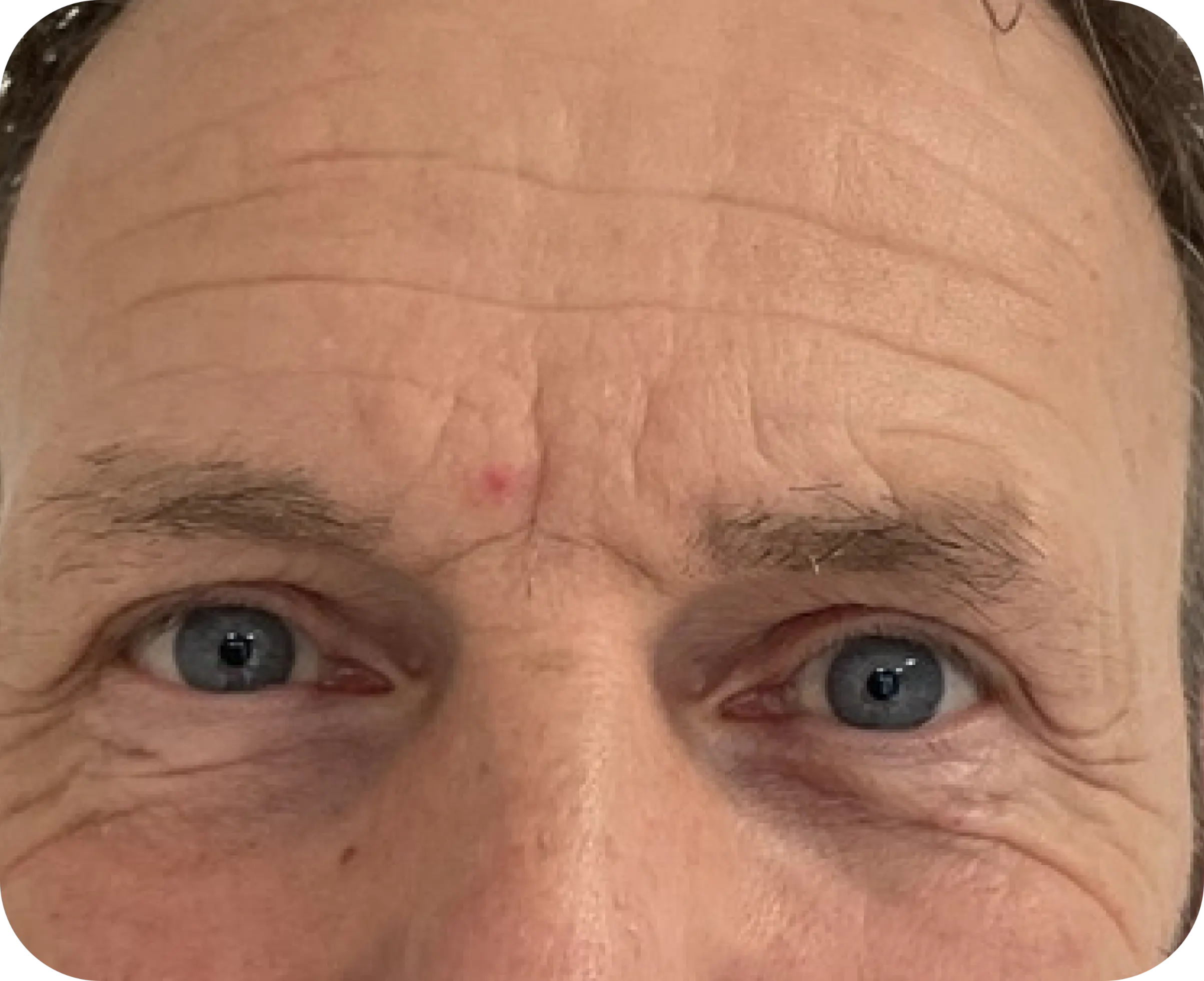 Rectangle 188 Rectangle 188